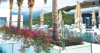 Domatesi nereden buluyorsunuz?