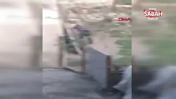 Kümesine giren köpeği sopa ile dövdü | Video