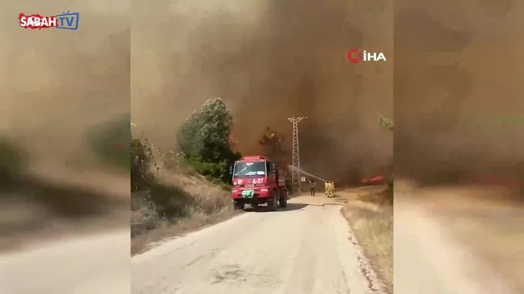Adana’da orman yangını çıktı | Video