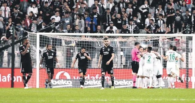 Bitkisel hayat
