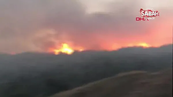 Sivas’ta orman yangını