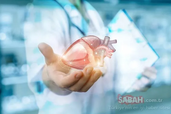 Kalp Sağlığınızı Korumanın Püf Noktaları