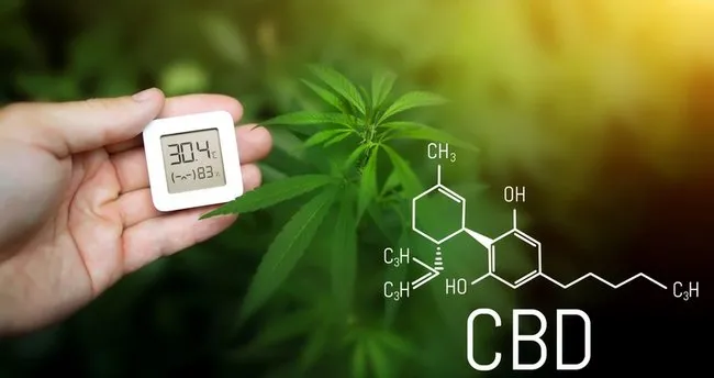 Nem Ölçer Nedir, Ne İşe Yarar? Nem Ölçer Nasıl Ve Nerelerde Kullanılır?