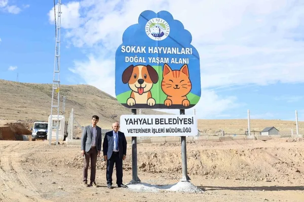 kayseride-sokak-hayvanlarina-modern-yasam-alani-1762001070618.jpg