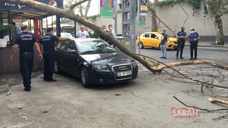 Çırağan Caddesi’nde asırlık ağacın kırılan dalı taksi durağının üzerine düştü