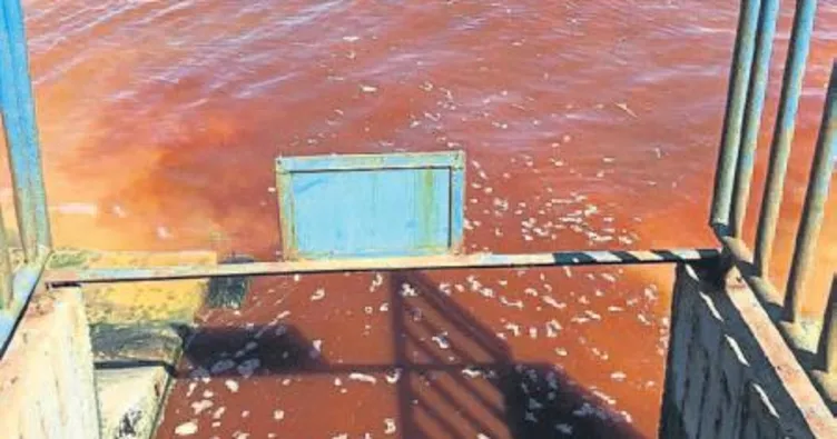 Çevre ve Şehircilik kirliliğe el koydu