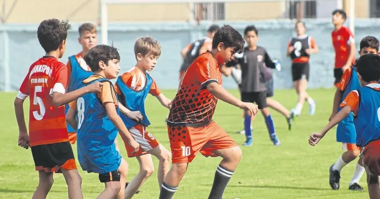 Toros kaplanı yıldızını arıyor - Güney Haberleri