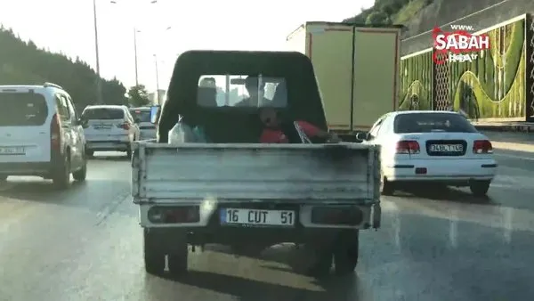 Güneş gözlüğünü taktı, kamyonet kasasında uyuyarak böyle yolculuk yaptı | Video