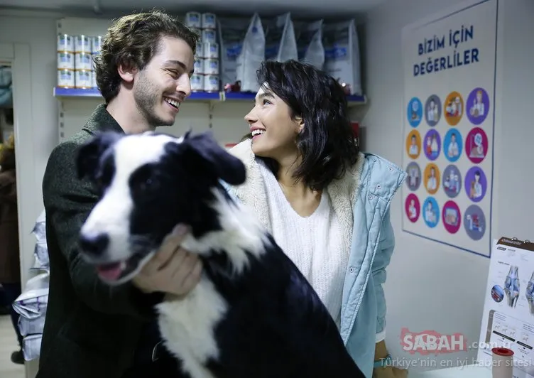 Büyük aşkın mimarı köpek Romeo