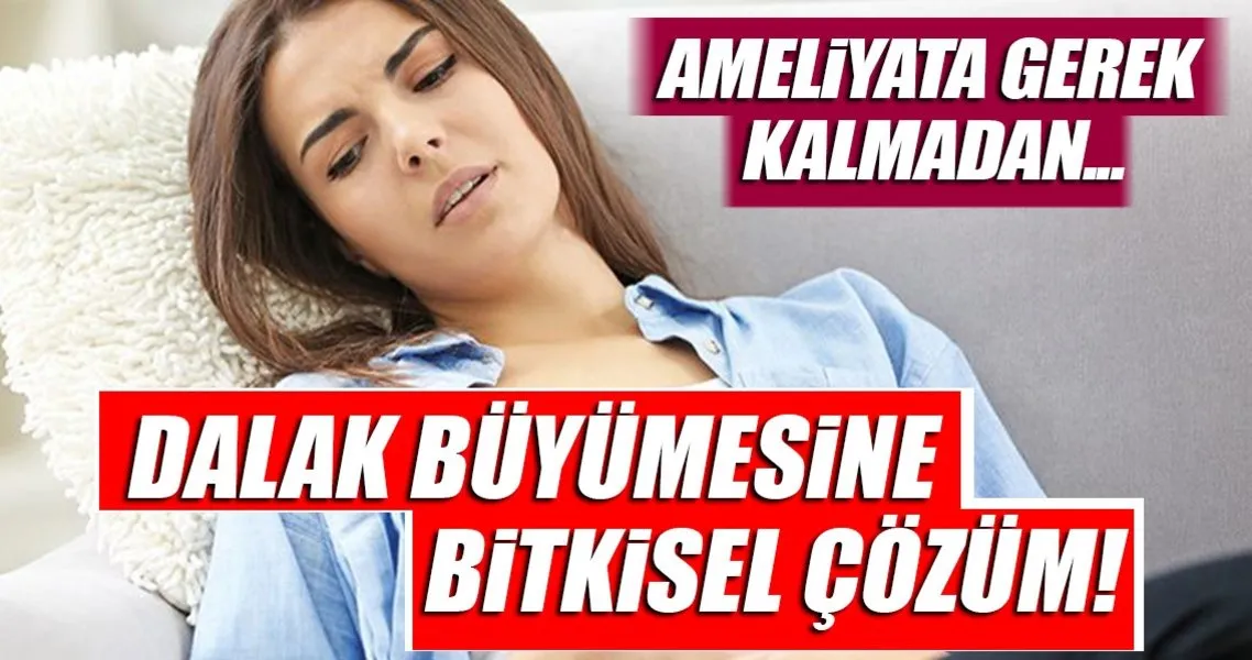 Dalak Buyumesine Bitkisel Cozum Saglik Haberleri