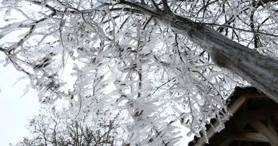 Ağaç ve kameriyelerde buz sarkıtları oluştu
