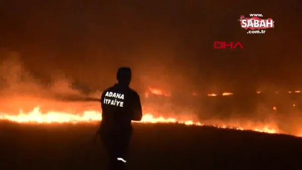 Adana'da anız yangını, ağaçlık alana ve zeytin bahçesine sıçradı