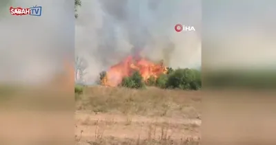 Gebze’de orman yangını başladı | Video