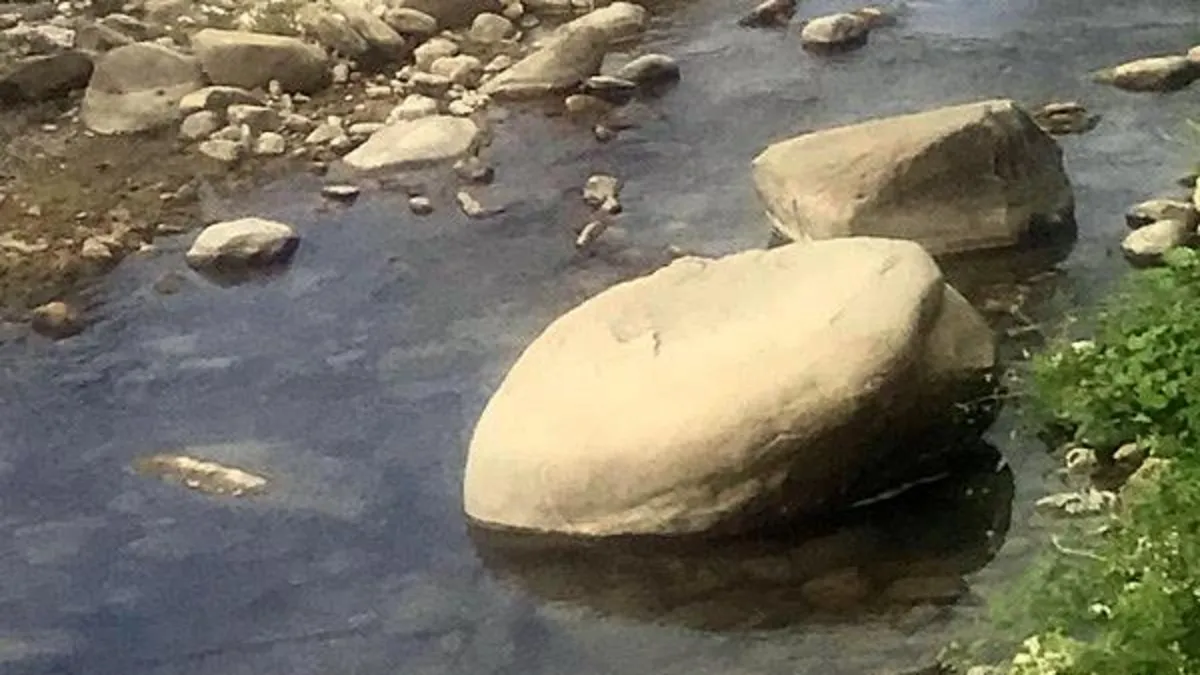 Elle balık tutarken kayaya sıkışarak boğuldu Elle balık tutarken kayaya sıkışarak boğuldu