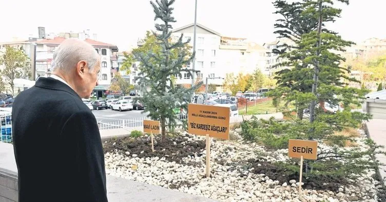 MHP’den ‘Biz Kardeşiz Ağaçları’