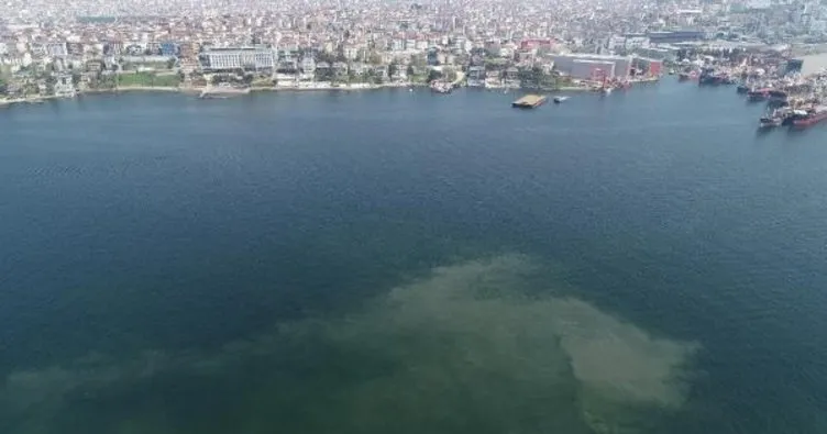 SON DAKİKA: Marmara Denizi’de alarm! Kadıköy ve Tuzla’da görüldü! Geri mi dönüyor?