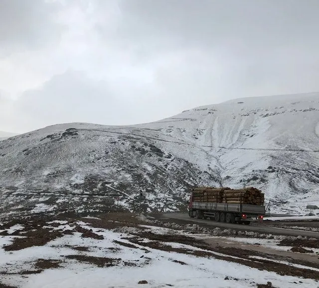 Türkiye'nin birçok kentine yılın ilk karı yağdı