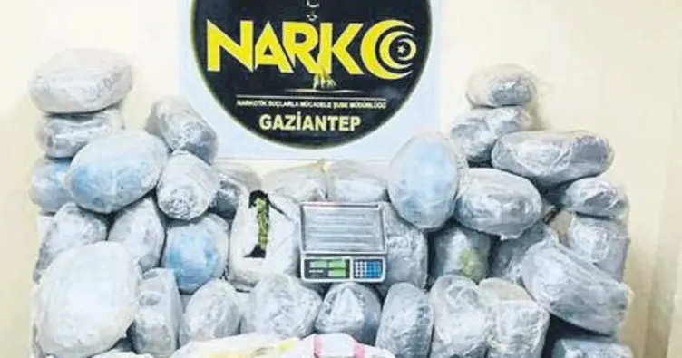 320 kilo esrar ele geçirildi