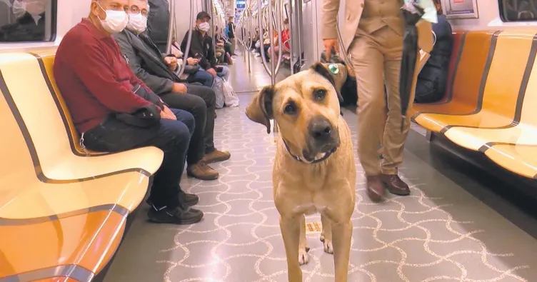 Bir günde 29 durak gezdi