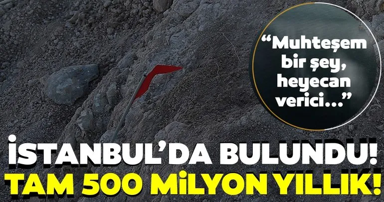 SON DAKİKA HABERİ! İstanbul’da bulundu! Tam 500 milyon yıllık...