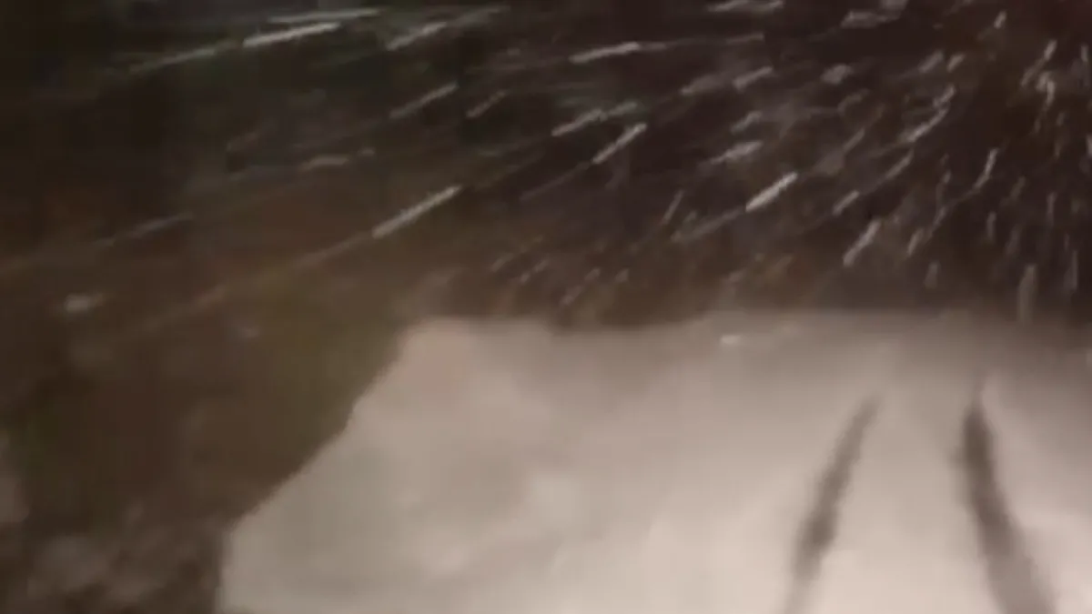 Siirt’te karla mücadele sürüyor: Mahsur kalan vatandaşlar kurtarıldı Siirt’te karla mücadele sürüyor: Mahsur kalan vatandaşlar kurtarıldı