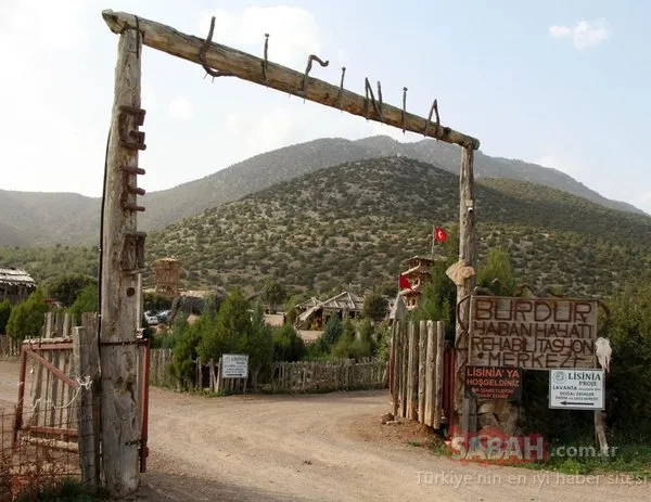 Burdur'da doğal yaşam köyü Lisinia'ya bu yıl 300 bin ziyaretçi bekleniyor
