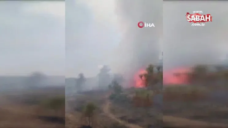 Meksika’da orman yangını: 10 ev tahliye edildi | Video