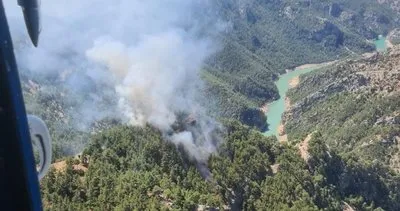 Adana’da ormanlık alanda yangın çıktı #adana