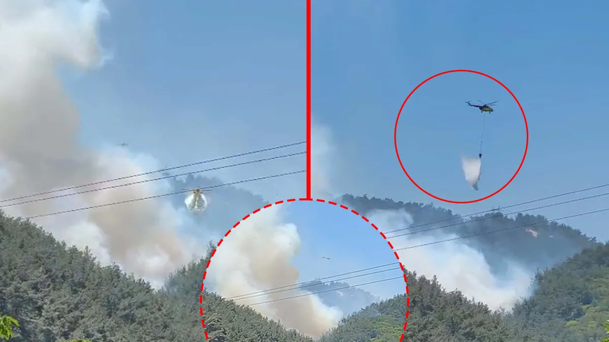Manisa Soma'da çıkan orman yangınına müdahale ediliyor
