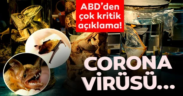 Son Dakika Haber! ABD’den corona virüs salgını ile ilgili çok kritik açıklama geldi! Corona virüsü…