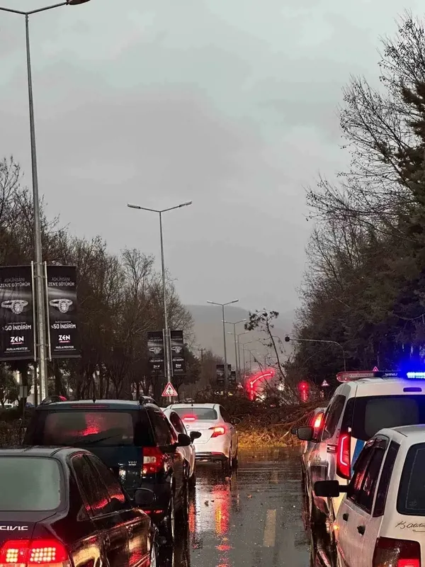 mentesede-firtina-etkili-oldu-devrilen-agac-yolu-kapatti-1769444466948.jpg