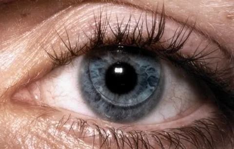 Lens göz sağlığı açısından…