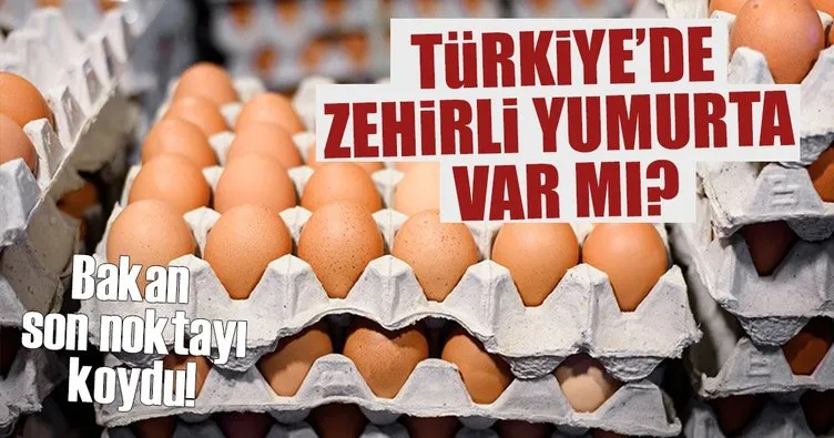 Fakıbaba: Türkiye’de fipronilli yumurta tespit edilmedi