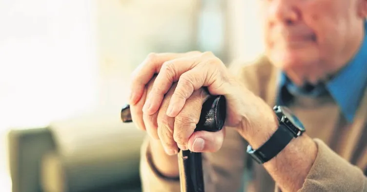 Asırlık çınarların sayısı 10 bini aştı