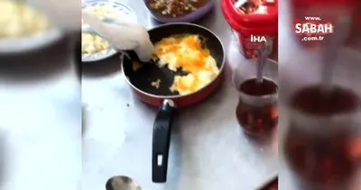 Antalya’da evin kahvaltısına ortak olan muhabbet kuşunun şarkı söylediği anlar izleyenleri gülümsetti | Video