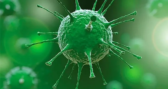 11 Kasim Koronavirus Tablosu Son Dakika Paylasildi 11 Kasim Korona Tablosu Ile Guncel Turkiye Corona Virusu Vaka Vefat Sayilari Son Dakika Spor Haberleri