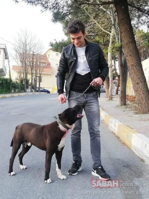 Beylikdüzü’nde “Kız meselesi” bahanesiyle 19 yaşındaki genç öldürüldü