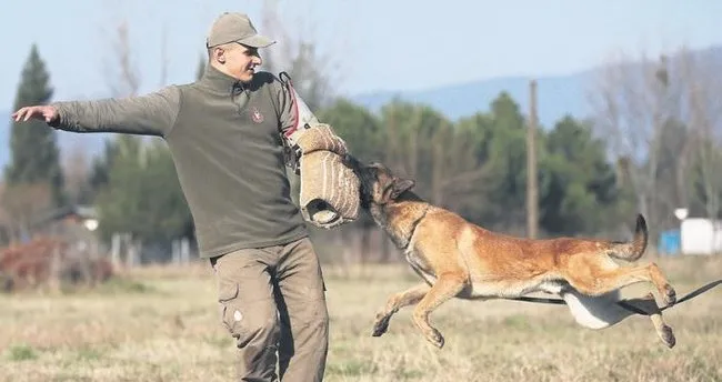 Can Dostlar Isbasinda Son Dakika Haberler