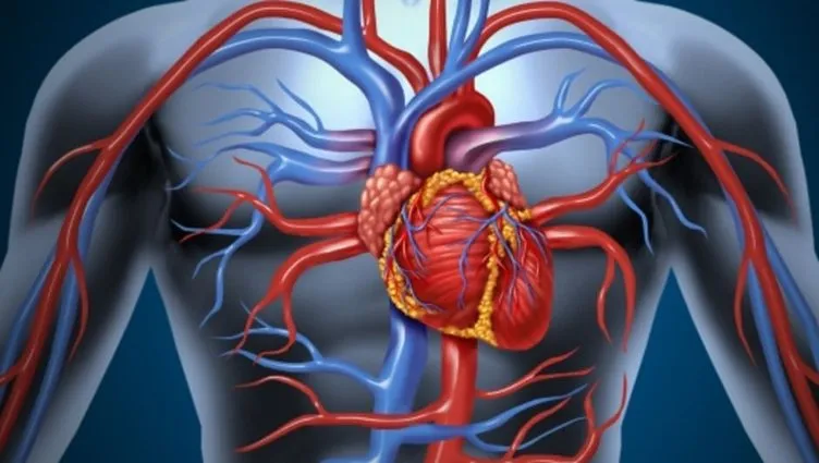 O sendromu yaşayanlarda aort anevrizması çok daha…