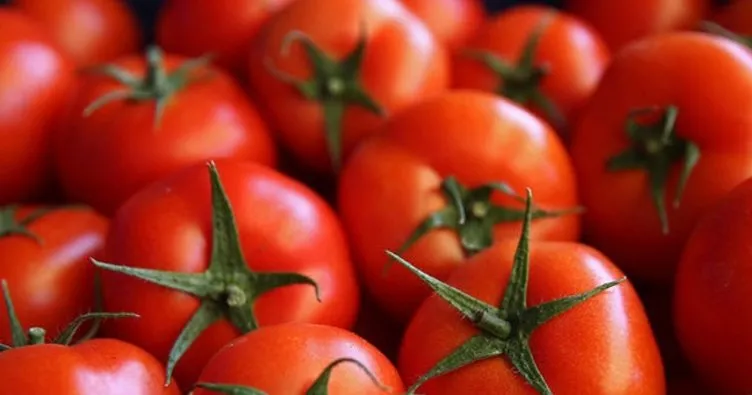 Rusya’dan flaş domates açıklaması