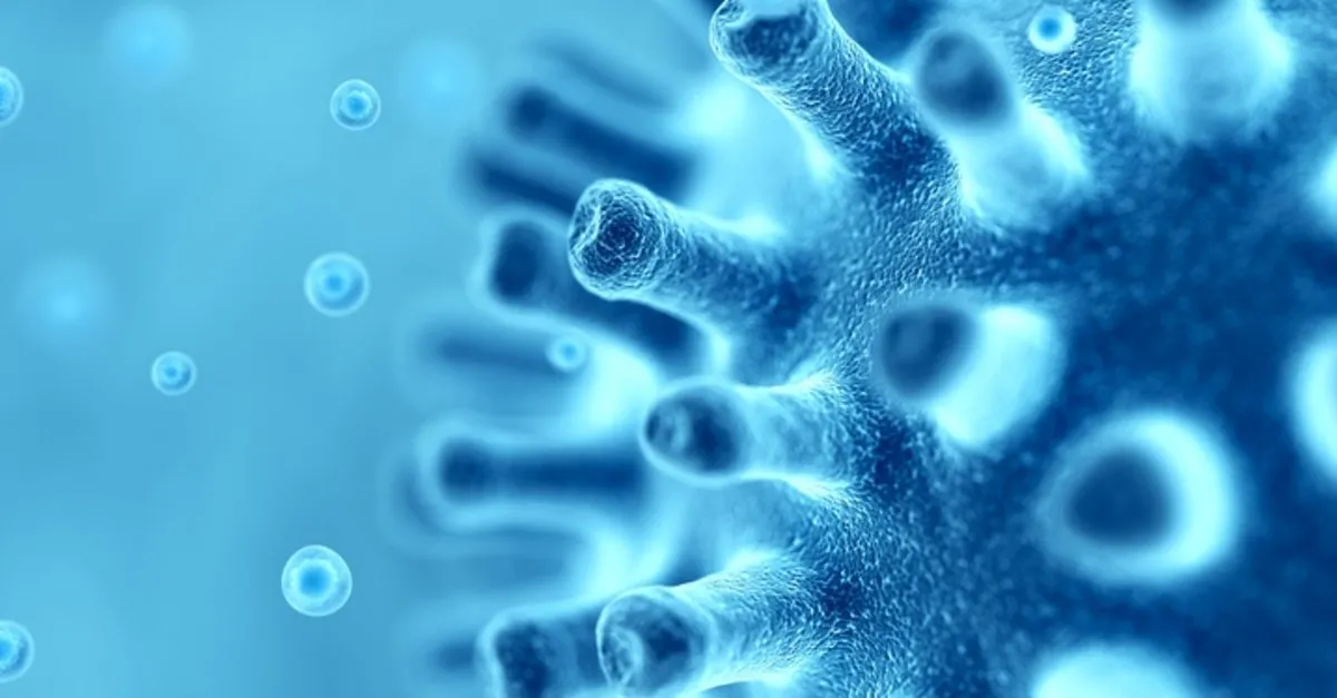 mayoz ve mitoz bolunme nedir farklari nelerdir hem mayoz hem de mitoz bolunmede gorulen ozellikler nelerdir son dakika egitim haberleri