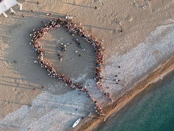 antalyada-caretta-caretta-yavrulari-denizle-bulustu-1784382991892.jpg