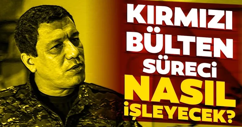 Terörist Mazlum Kobani hakkında kırmızı bülten süreci nasıl işleyecek? Mesut Hakkı Caşın anlattı