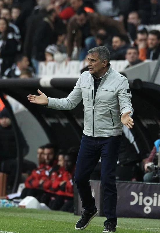 Şenol Güneş: Favori Lyon
