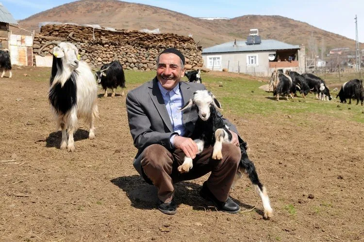 Bingöllü çobana koyunlarla imtihanı ün getirdi