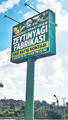 ureticiler-gucunu-birlestirdi-zeytinyagi-fabrikasi-kurdu-1736788601652.jpeg
