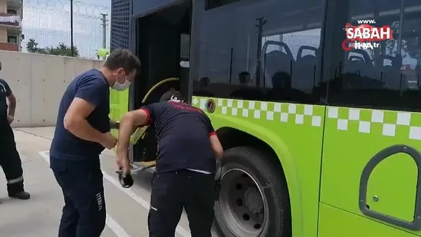 halk otobusunde 2 metrelik zehirli yilan panigi video