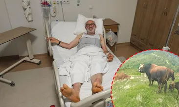 700 kiloluk boğasının saldırısına uğrayan adam ölümden döndü: Bana hiç böyle davranmamıştı! #artvin