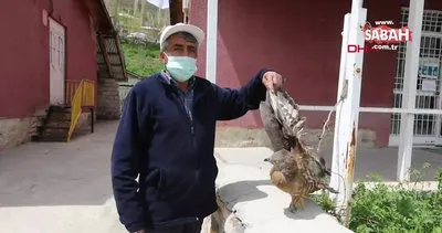Van’da temizlik görevlisinin bulduğu kanadı kırık şahin tedaviye alındı