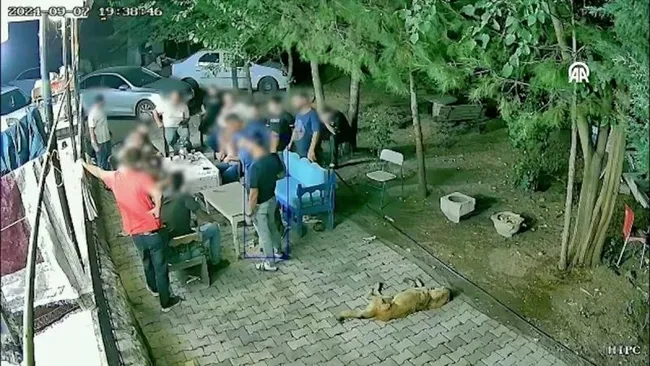 Tüm Türkiye'yi sarsan Narin Güran cinayetinin 1. yıl dönümü! Acılı Baba: Bu kadar aşiret hani nerede?